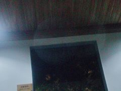 -腾冲洞山温泉村