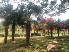 -郑州植物园