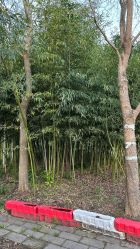 -前小桔亲子创意农场·草莓采摘·露营烧烤