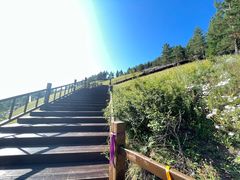 -莫尔道嘎国家森林公园