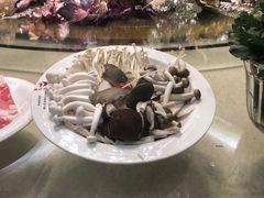 -阳坊大都涮羊肉(阳坊总店)