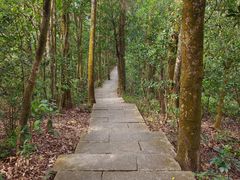-深圳仙湖植物园