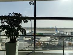 -郑州新郑国际机场