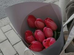 -双季花艺园艺市场(浦东店)