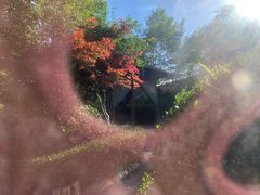 -麦积山温泉