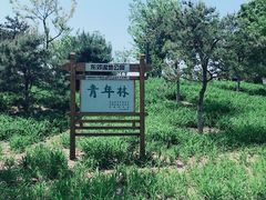 -东郊湿地公园