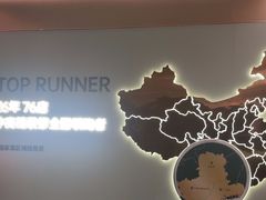 -点石家装(总部旗舰店)