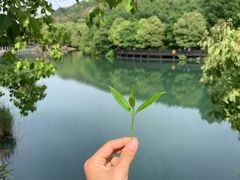 -白马涧龙池景区