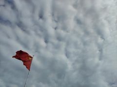 -会仙湿地
