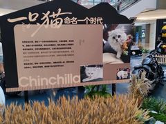-宝龙城(杭州滨江店)