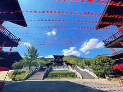 -大唐贡茶院