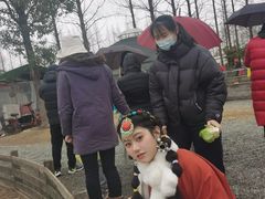 -前小桔亲子创意农场·草莓采摘·露营烧烤