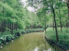 -尚湖风景区