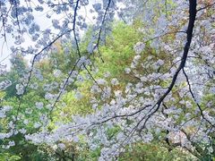 -浙江大学医学院附属第二医院(解放路院区)