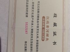 -阿五黄河大鲤鱼(英协路店)