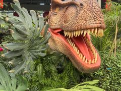 -沈阳植物园