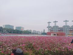 -海心沙亚运公园