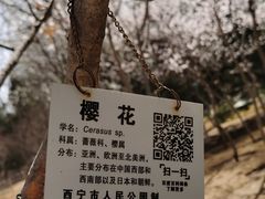 -西宁市人民公园(城西区)