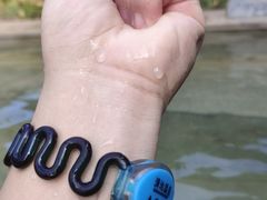 -嘉兴清池酒店温泉