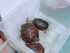 -海天堂(金銮大厦店)