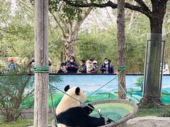 -上海野生动物园