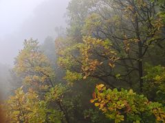 -驼梁风景区