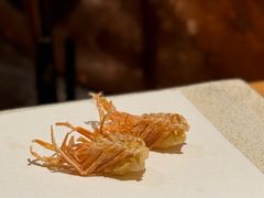-Takiya Tempura