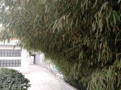 -于右任故居