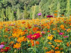 -贵阳市花溪国家城市湿地公园
