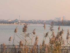 -中国翰园碑林