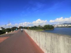 -立新湖公园