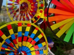 -长兴太湖图影湿地文化园