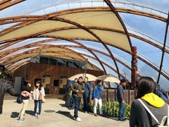 -怀托摩萤火虫洞