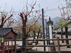 -康陵正德春饼宴26号
