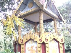 -瑞丽独树成林风景区