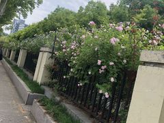 -南京航空航天大学(明故宫校区)