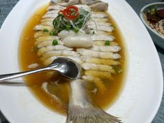 鱈龙鱼-湯記傳菜