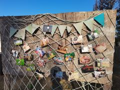 -前小桔亲子创意农场·草莓采摘·露营烧烤