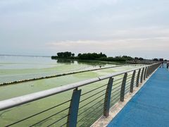 -滆湖低碳生态公园