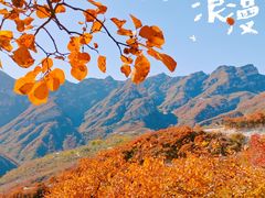 -周口店坡峰岭风景区