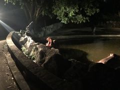 -清迈夜间动物园