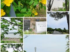 -上海吴淞炮台湾国家湿地公园