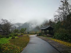 -千岛湖石林