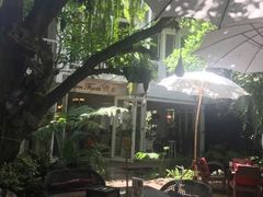 -Fern Forest Cafe