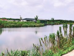 -上海崇明金茂凯悦酒店