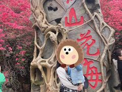 -木兰云雾山