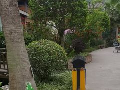 -夜不收荤豆花(大邑总店)
