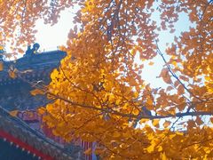 -承恩寺