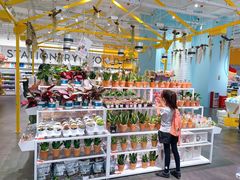 -KKV(深圳宏发大仟里店)