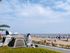 -碧海金沙